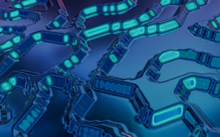 Lightning Labs explains how Wavelength VTXOs carry Taproot Assets