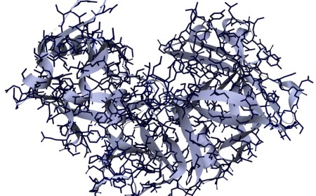 Researchers use AI to design proteins that cut up other proteins