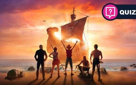 Find out if you're part of the crew with this 30-question One Piece quiz