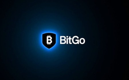 DWF Labs affiliates sue BitGo for $141M over alleged Falcon Finance, ESPORTS token sales