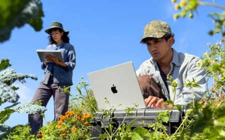 The 14-Inch MacBook Pro and iMac Get Apple's New M6 Chip