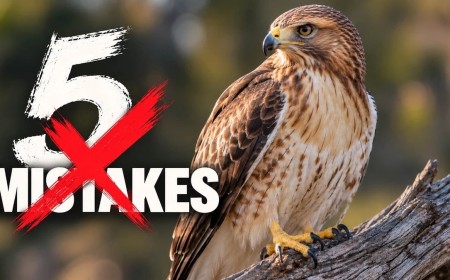 What Separates a Natural Wildlife Edit From an Overcooked One