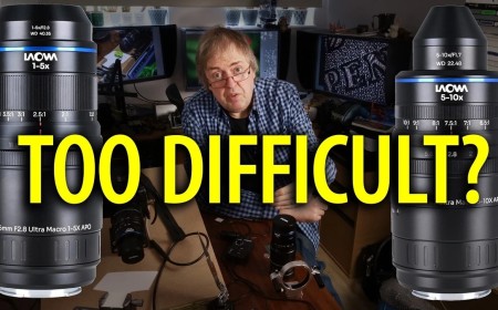 Can Laowa's New Ultra-Macro Lens Replace Canon's MP-E 65mm?