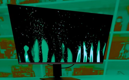 The OLED Burn-In Test: 30-Month Update