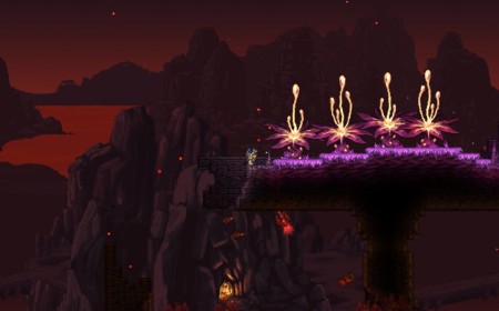 Notorious Hacker Steals 250,000 User Discord Server For Infamous Terraria Mod Calamity, Immediately Uses It To Pump And Dump A Crypto Coin