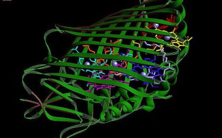 Vibe genes? Natural(ish) language comes to protein, genome design software