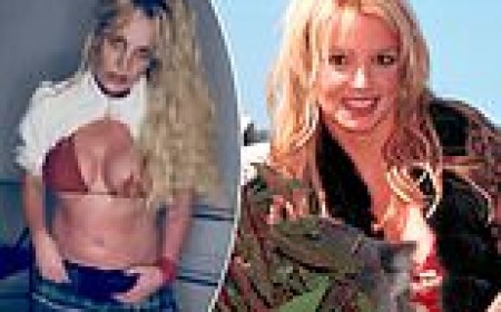 Britney Spears shares bizarre post about giving birth to koalas as she reflects on visit to Australia