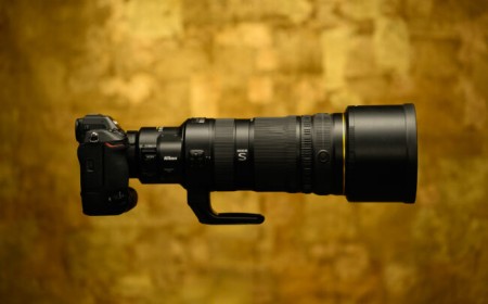 Nikon Z 120-300mm f/2.8 TC VR S Announced – Our Thoughts!