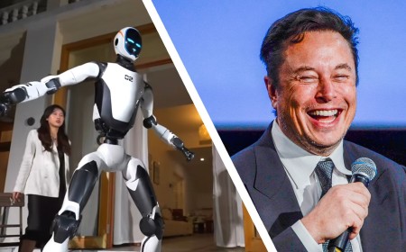 Unitree says its 'self-evolving robots' are coming to take on Tesla Optimus