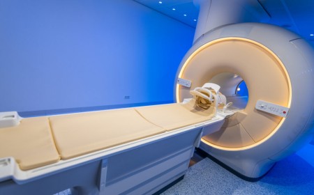 One with the world? A new look at brains transformed by psychedelics.