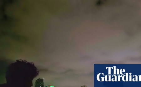 Gaza documentary NAZA beats Avengers Endgame: Encore to top Italian box office