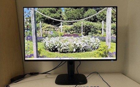 Alienware AW3226Q 32-inch 4K OLED gaming monitor review: Sleek design with performance and value to match