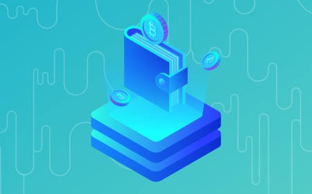 What Is a Hardware Wallet? Crypto Cold Storage Explained