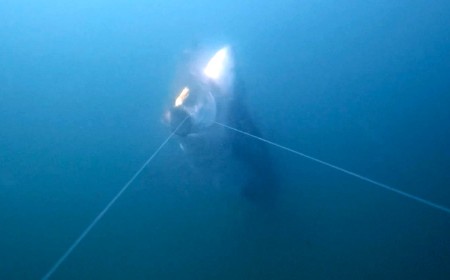 Nat Geo Photographer Captures First-Ever Footage of Great White Shark Snatching Fish Off Line