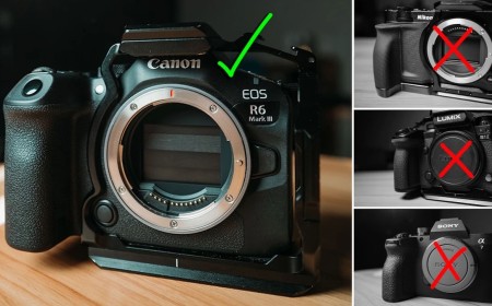 Is Canon Still the Safest Camera Brand for Paid Video Work?