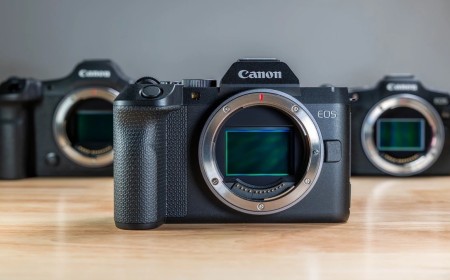 Is the $1,900 Canon EOS R8 Mark II Worth It Over the Original?