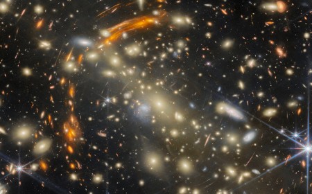 Webb Photographs One of the Most Beautiful Gravitational Lenses