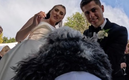 Dog With GoPro Strapped to His Back Captures Priceless Wedding Footage