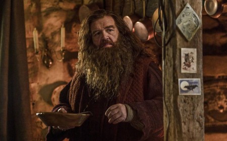 HBO's Harry Potter Only Has One Chance To Win Back Its Doubters