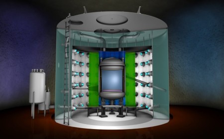 Research roundup: 6 cool science stories we almost missed