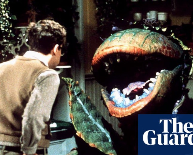 ‘Exceptionally crafted’: why Little Shop of Horrors is my feelgood movie